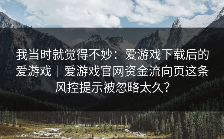 我当时就觉得不妙：爱游戏下载后的爱游戏｜爱游戏官网资金流向页这条风控提示被忽略太久？